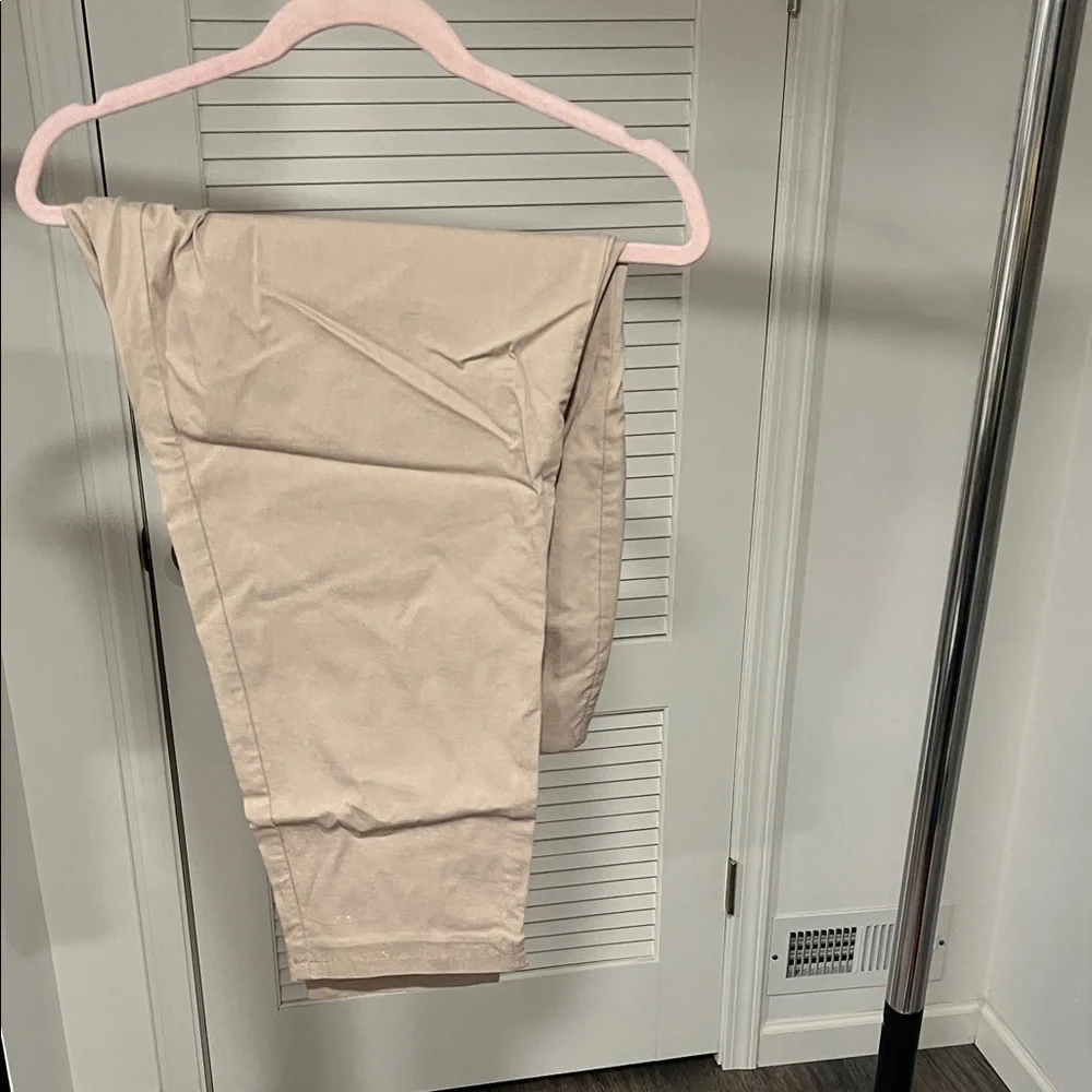 Dalia Light Tan Pants - Picture 3 of 5